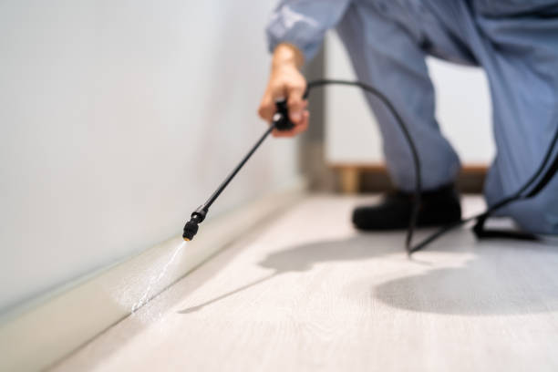 Licensed Mosquito Control service in Arlington, TX - Show Me Pest Control