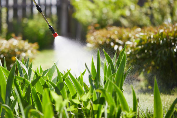 24/7 Emergency Mosquito Control experts in Arlington, TX