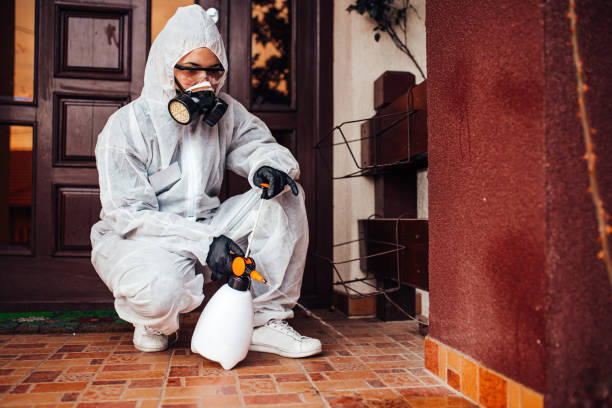 Reliable Mosquito Control contractor in Arlington, TX by Show Me Pest Control