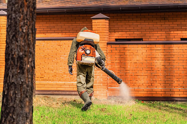 Top rated local Mosquito Control specialists in Arlington, TX